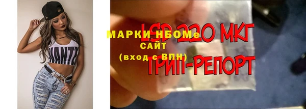 индика Алексеевка