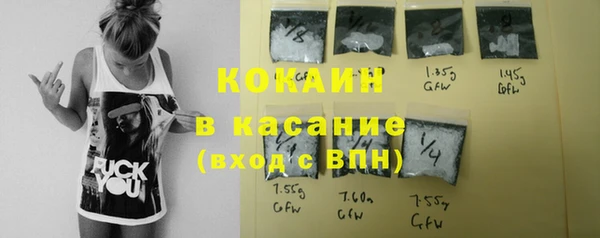 индика Алексеевка