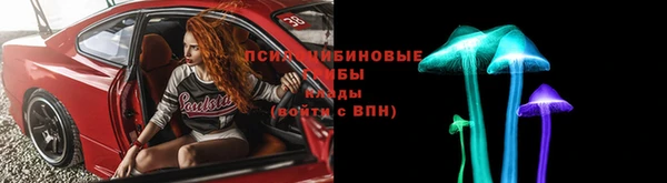 индика Алексеевка