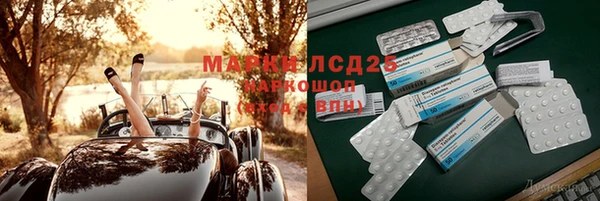 индика Алексеевка