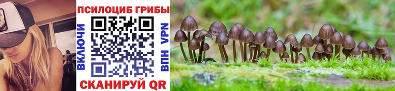 Галлюциногенные грибы Psilocybe  где можно купить   Поронайск 